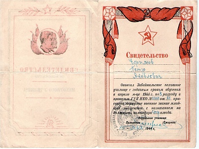 ДОРОГА ДЛИНОЮ В ЖИЗНЬ